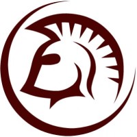 Bellator Consulting Inc.