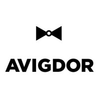 Avigdor 22 logo - Similar company to Avigdor Cybertech
