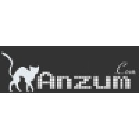 Anzum Digital