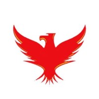 Digital Phoenix