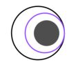 nesy systems logo - Similar company to Phaseone Ai