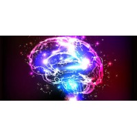 Brainasium logo - Similar company to Techvangelism