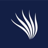 Kelp.Digital logo - Similar company to Anagolay Network
