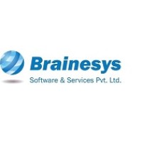 Brainesys Software & Services Private Limited