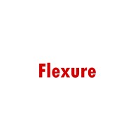 Flexure logo - Similar company to Flexure