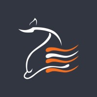 Apadana logo - Similar company to Dolphin Connect