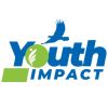 Youth Impact logo - Similar company to Journal Of Technology Management & Innovation