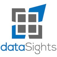 dataSights logo - Similar company to Datasight