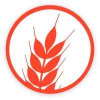 Komugi logo - Similar company to The Impact Accelerator