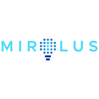 Mirolus LLC logo - Similar company to 2Pint Software