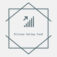 Silicon Valley Aggressive Growth Fund (Silicon Valley Fund) logo - Similar company to Radivision®