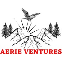 Aerie Ventures logo - Similar company to Complete Valley Services