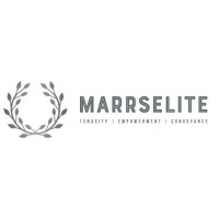 MARRSELITE logo - Similar company to Lotusware Inc.