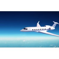 fly-falcon logo - Similar company to Elite Logistics Co