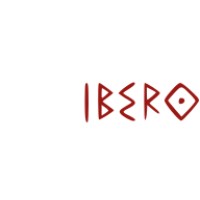 IBEROSPORT INNOVACION Y EQUIPAMIENTOS SL logo - Similar company to Aaa-Lux Ibérica