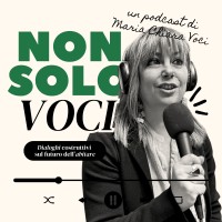 NON SOLO VOCI logo - Similar company to Euroapprentices Germany