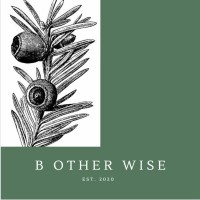 B Other Wise Ltd logo - Similar company to Compact Container Systems