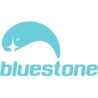 Bluestone Healthcare - Career Page logo - Similar company to Summit Recommerce Group
