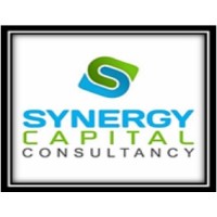 Synergy Capital Consultancy logo - Similar company to Saramco Ltd