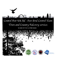 Control Pest UK Ltd logo - Similar company to Diamond Pest Control