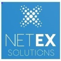 Netex Solutions LLC logo - Similar company to Interdefense Inc