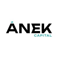 ANEK Capital logo - Similar company to Teramips Technologies