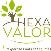 Hexavalor logo - Similar company to Be Nova - Bureau D'Études