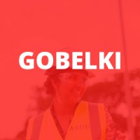 GOBELKI Industries Ltd logo - Similar company to Bigfly Air