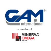 GAM International logo - Similar company to Saeg S.R.L.