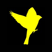 Nightingale Media logo - Similar company to Advancing Youth Voice