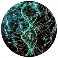 Papo de NGS logo - Similar company to Dnyou Genética