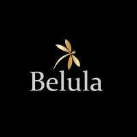 Belula Care logo - Similar company to Belula Care