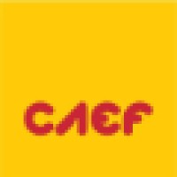 Caef Comércio E Serviços Ltda