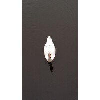 Consulting Commissie logo - Similar company to In Consulting Bv