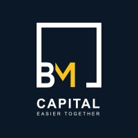 BM capital - ბი ემ კაპიტალი logo - Similar company to Bm Capital