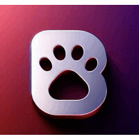 BraveDog logo - Similar company to Discovered