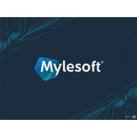 Mylesoft Technologies logo - Similar company to Dotconnectafrica Group