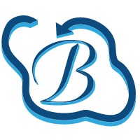 Bhavitra Technologies Private Limited logo - Similar company to Ars Webtech