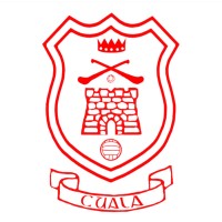 Cuala GAA Club logo - Similar company to Camogie Association