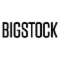 Bigstock logo - Similar company to Michelangelo Designs