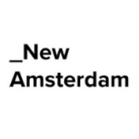 The New Amsterdam Group LLC logo - Similar company to Vcengine