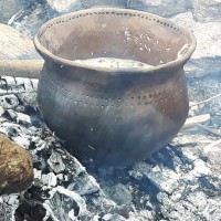 Verder met Voedsel logo - Similar company to Archeoplan Eco