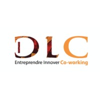 DLC Niger logo - Similar company to Iman Agency