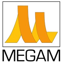 MEGAM TEXTILE&DYEING logo - Similar company to Maviş Tekstil