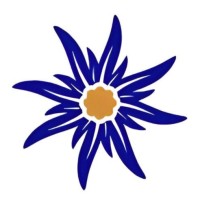 Multi Screen Grand Prix logo - Similar company to Singularités Hft