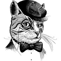 Kattholmen.com logo - Similar company to Villa Soludden