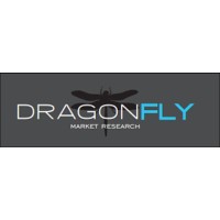 Dragonfly Consumer Insights logo - Similar company to Quantum Consumer Solutions: Insight & Design Strategy