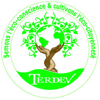 TERDEV logo - Similar company to Todda 🎥🎤