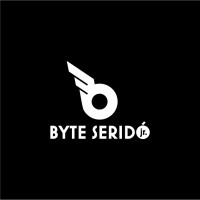 Byte Seridó Jr logo - Similar company to Boora Fit