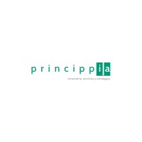 PRINCIPPIA logo - Similar company to Alebat
